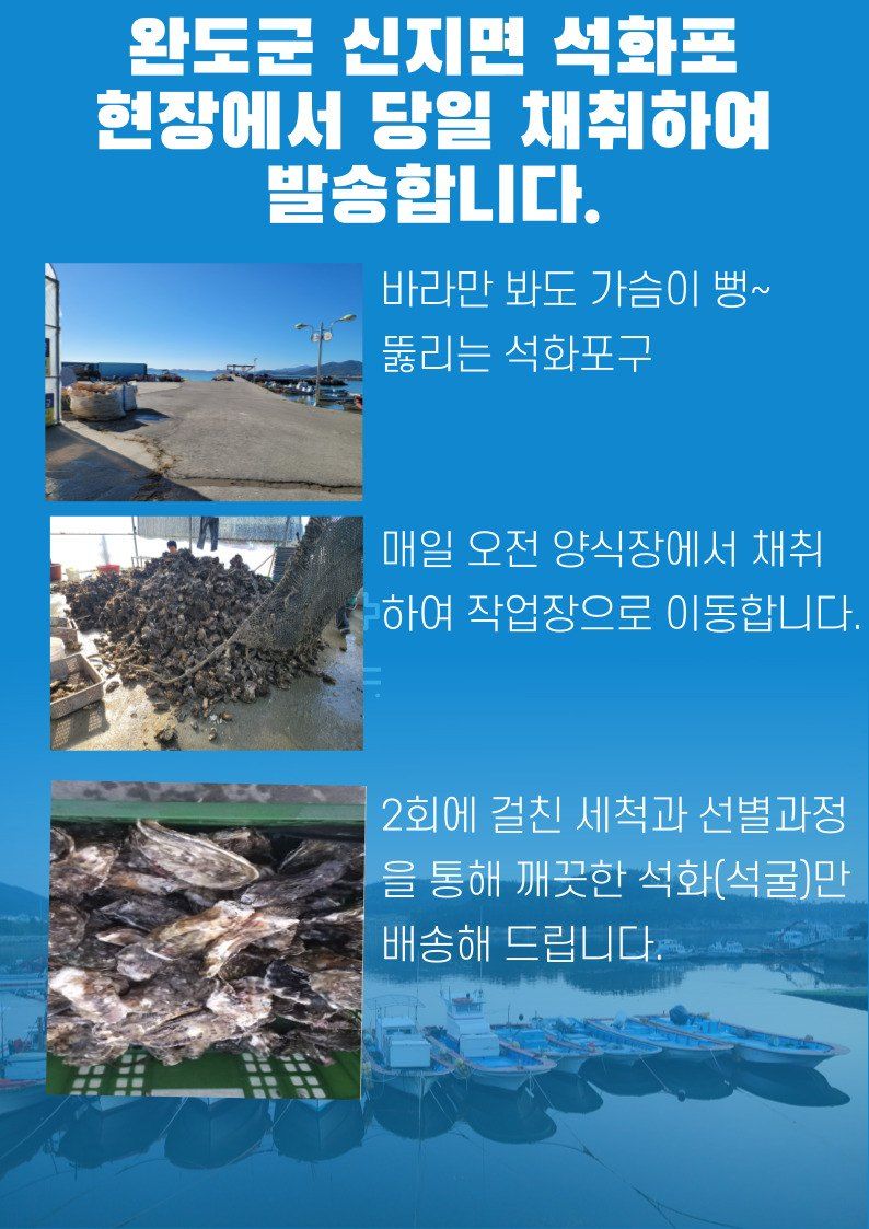 김진국님의 장터 판매 상품 [(산지직송) 깔끔세척 석화 깐굴2kg] 첨부 사진