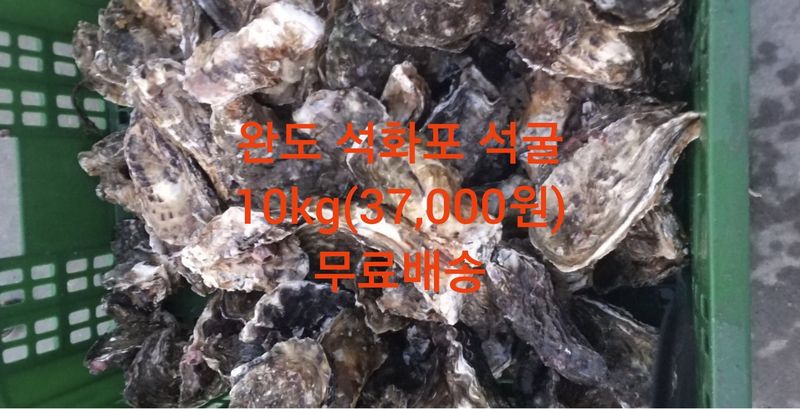 장터 상품 [(산지직송) 깔끔세척 석화 깐굴2kg] 썸네일