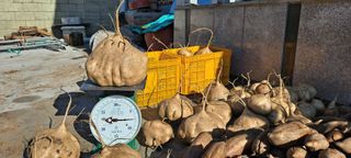 장준재님의 기타작물 · 자유게시판 작성글 사진