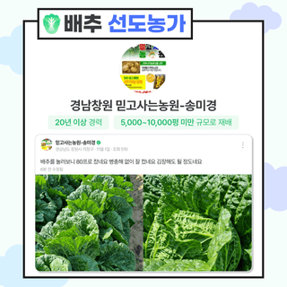 팜모닝님의 자유주제 · 공지 작성글 사진