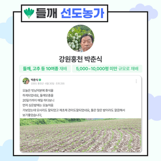 팜모닝님의 자유주제 · 공지 작성글 사진