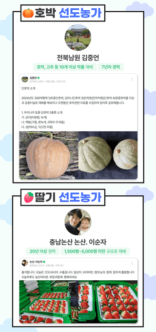 팜모닝님의 자유주제 · 공지 작성글 사진