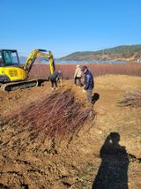 팜모닝 기타작물·자유게시판 게시글 이미지