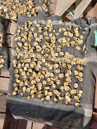 이현상님의 자유주제 · 자유게시판 작성글 사진