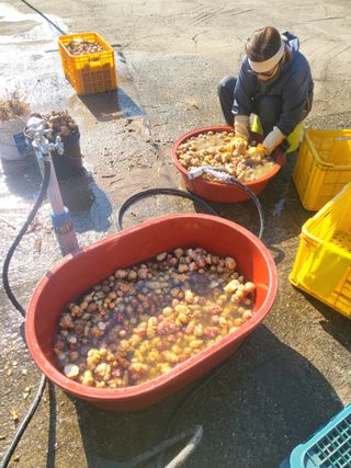 이상욱님의 농사, 무엇이든 물어보세요! · 참여글 작성글 사진