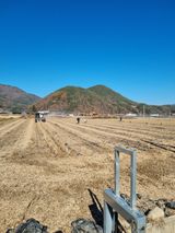 팜모닝 농사, 무엇이든 물어보세요!·참여글 게시글 이미지