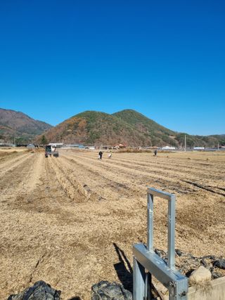 권영구님의 농사, 무엇이든 물어보세요! · 참여글 작성글 사진