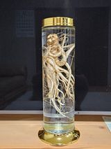 팜모닝 농사, 무엇이든 물어보세요!·참여글 게시글 이미지