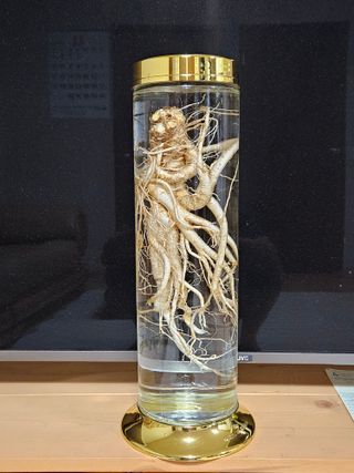 김홍필님의 농사, 무엇이든 물어보세요! · 참여글 작성글 사진