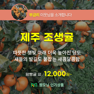 팜모닝 장터님의 장터이야기 · 공지 작성글 사진