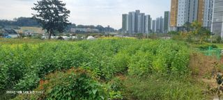 양성천님의 농사, 무엇이든 물어보세요! · 참여글 작성글 사진