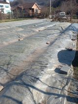 팜모닝 마늘·일상 게시글 이미지