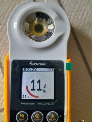 대정골귤꽃농원님의 작성글 사진