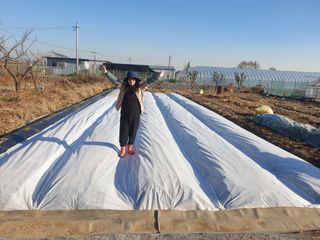 노경자님의 마늘 · 일상 작성글 사진