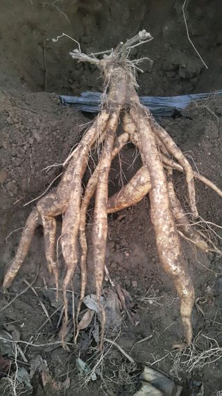 정보센터님의 겨울 대비 어떻게 하셨나요 · 참여글 작성글 사진