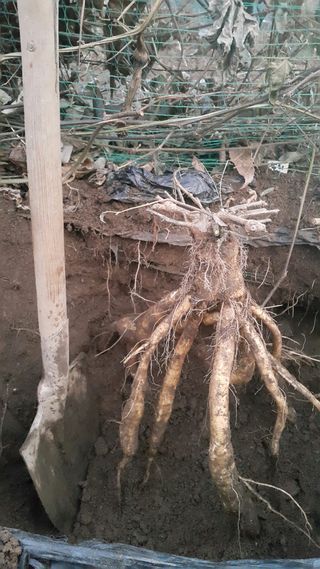 정보센터님의 겨울 대비 어떻게 하셨나요 · 참여글 작성글 사진