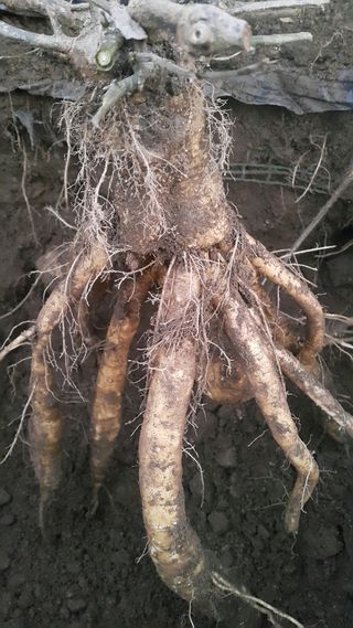 정보센터님의 겨울 대비 어떻게 하셨나요 · 참여글 작성글 사진