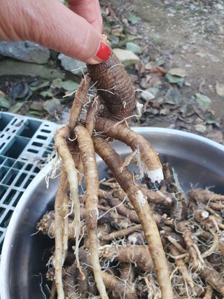 김옥자님의 자유주제 · 자유게시판 작성글 사진