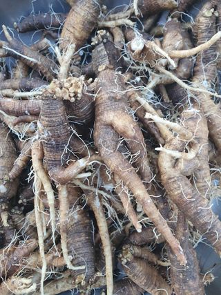 김옥자님의 자유주제 · 자유게시판 작성글 사진