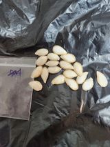 팜모닝 자유주제·자유게시판 게시글 이미지