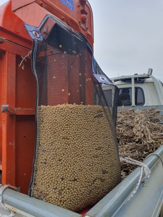 엘림농장님의 콩 · 자유게시판 작성글 사진