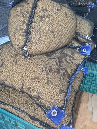 엘림농장님의 콩 · 자유게시판 작성글 사진