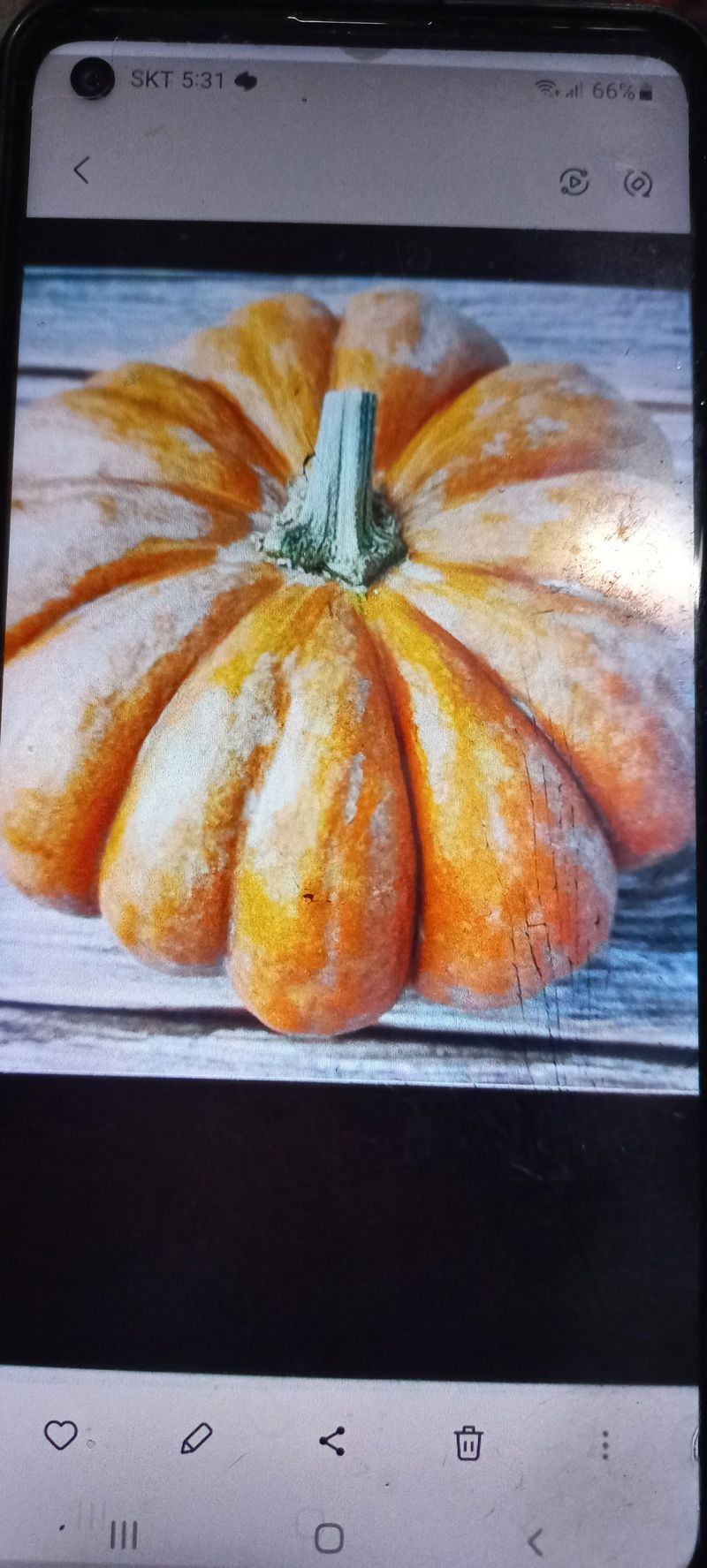 장터 상품 [호박즙] 썸네일