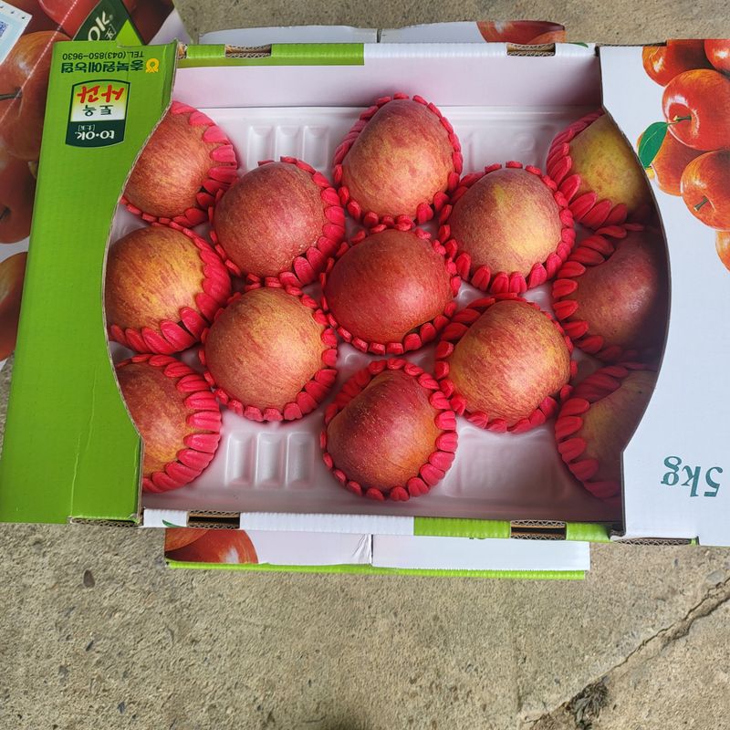 박현자님의 장터 판매 상품 [맛이좋은 사과 판매합니다10키로45000] 첨부 사진