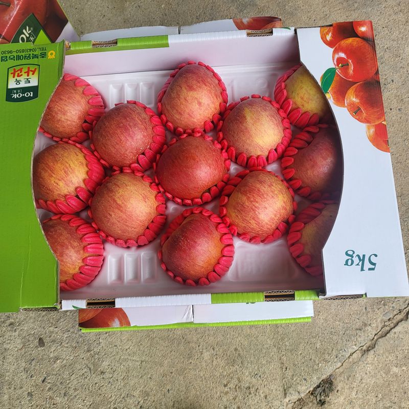 박현자님의 장터 판매 상품 [맛이좋은 사과 판매합니다10키로45000] 첨부 사진