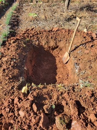 태 야님의 자유주제 · 자유게시판 작성글 사진