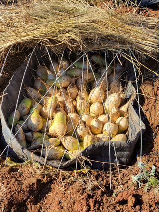 태 야님의 자유주제 · 자유게시판 작성글 사진