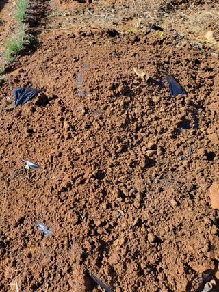 태 야님의 자유주제 · 자유게시판 작성글 사진