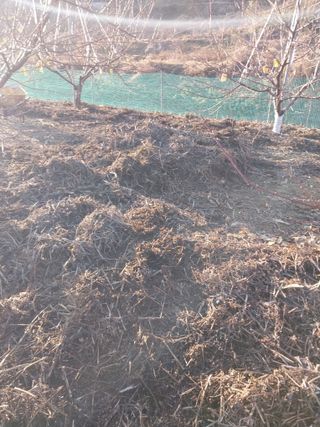 류남열님의 복숭아 · 영농일지 작성글 사진