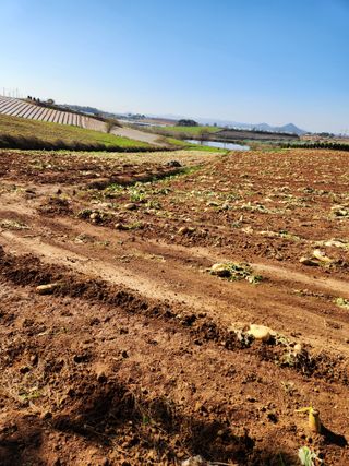 김저팔계님의 기타작물 · 영농일지 작성글 사진