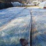 팜모닝 마늘·영농일지 게시글 이미지