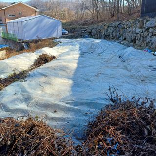 삼성농산님의 마늘 · 영농일지 작성글 사진