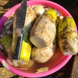 팜모닝 겨울 대비 어떻게 하셨나요·참여글 게시글 이미지