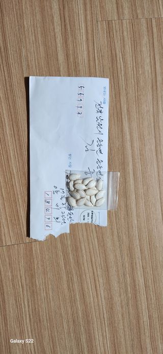 접시꽃님의 호박 · 자유게시판 작성글 사진