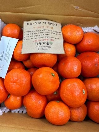 김나리님의 장터이야기 · 자유게시판 작성글 사진