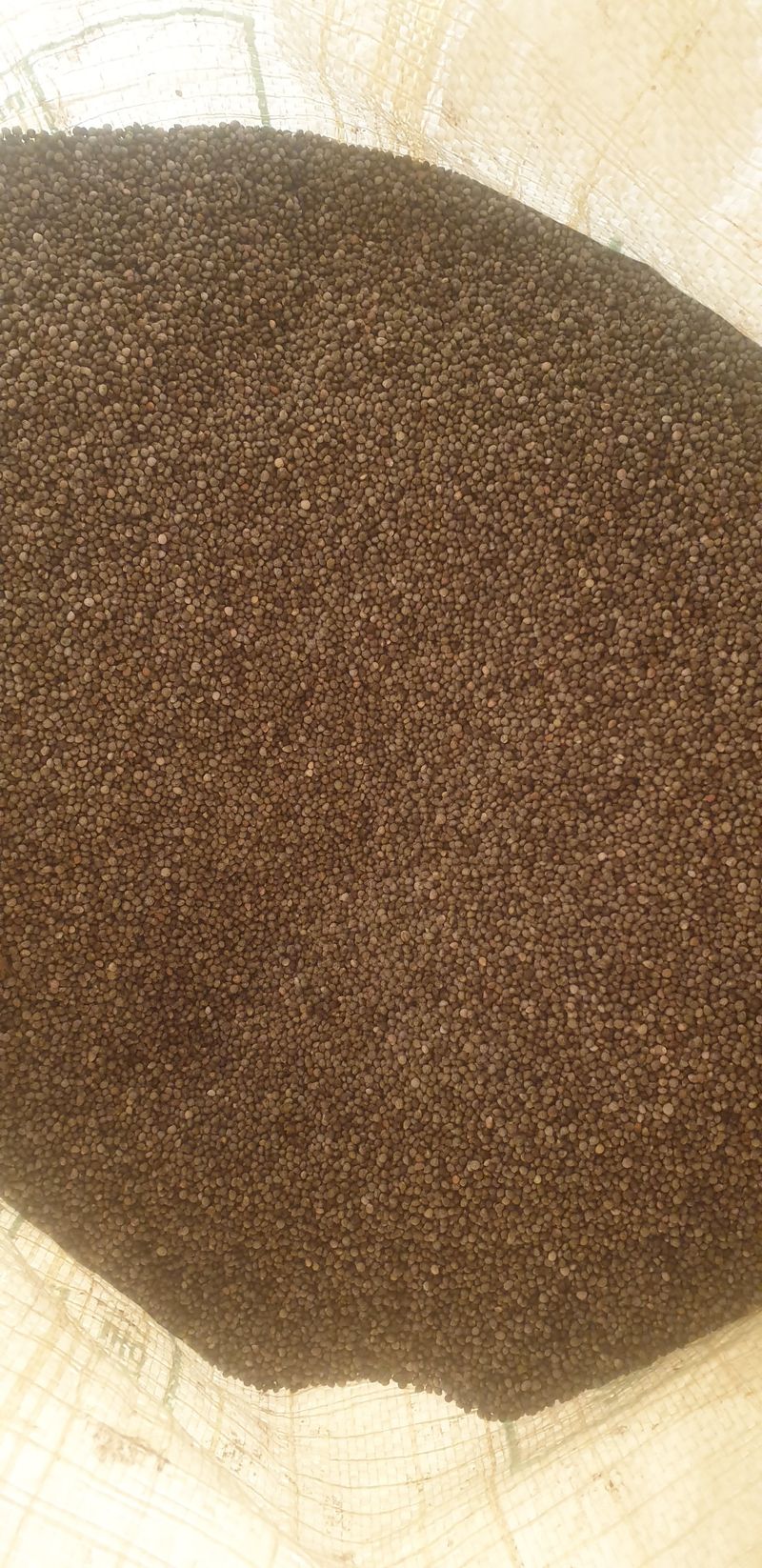 장터 상품 [들깨 5Kg] 썸네일