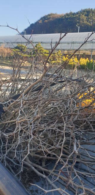 주주농장님의 작성글 사진