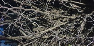 주주농장님의 작성글 사진