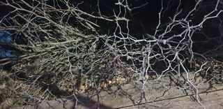 주주농장님의 작성글 사진