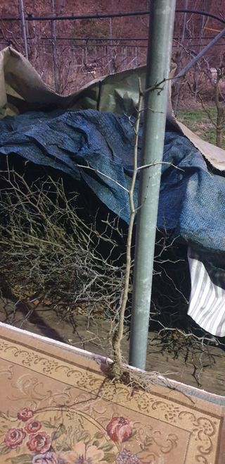 주주농장님의 작성글 사진