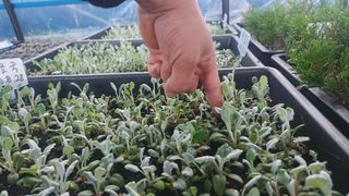 연지골농원_단야님의 자유주제 · 자유게시판 작성글 사진