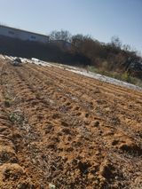 팜모닝 콩·영농일지 게시글 이미지