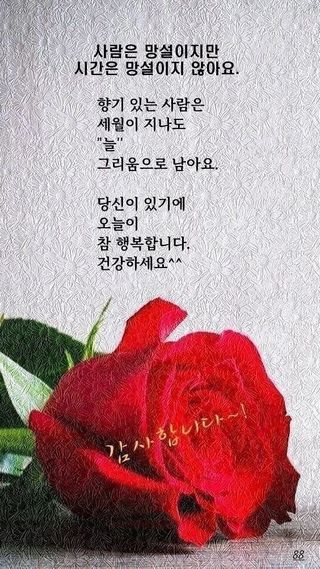심수연님의 자유주제 · 자유게시판 작성글 사진