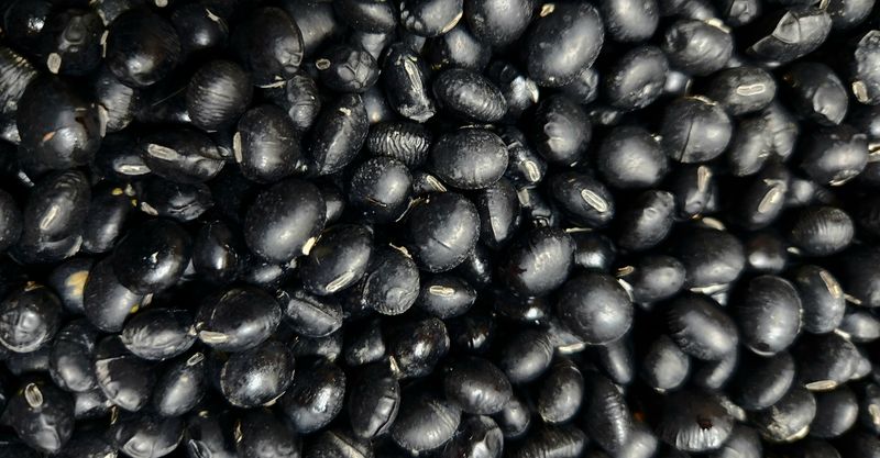 장터 상품 [메주콩/서리태/푸르대콩] 썸네일