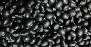 권철환님의 작성글 사진