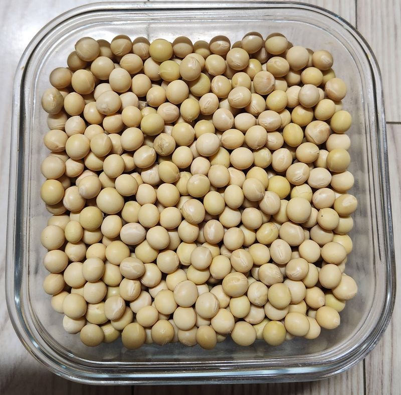 권철환님의 장터 판매 상품 [메주콩/서리태/푸르대콩] 첨부 사진